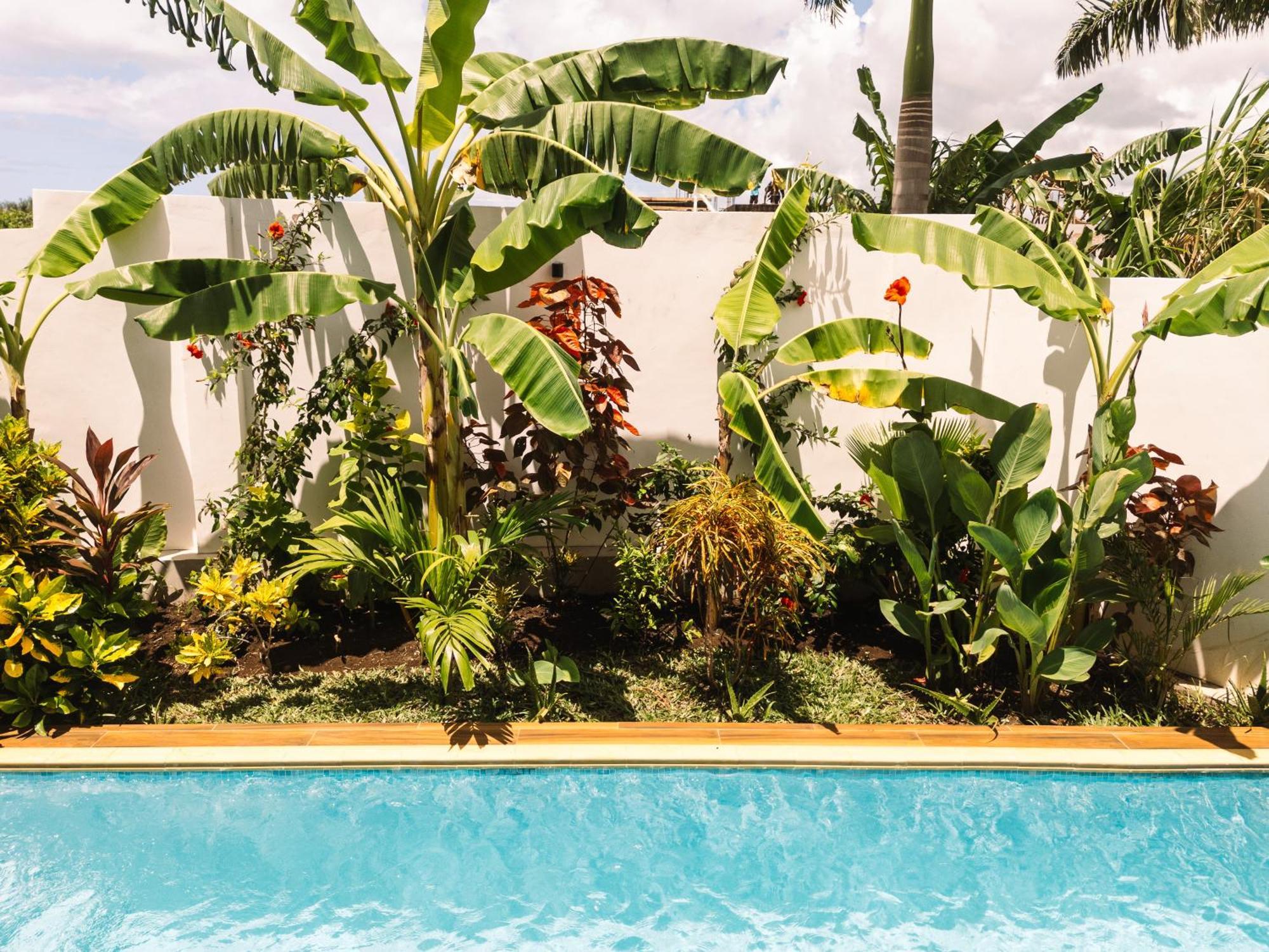 Shivo Paje Villas Exteriér fotografie